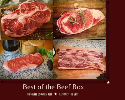 Curated Boxes